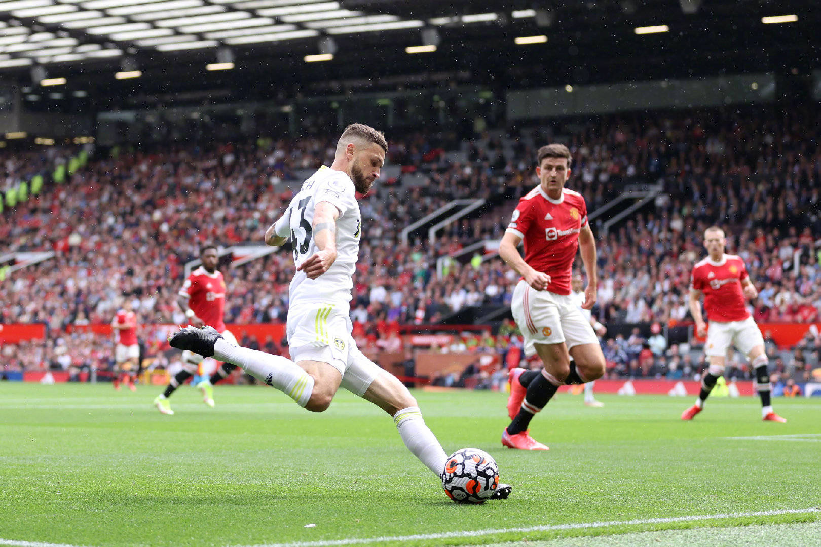 能够显著提 能够显著提